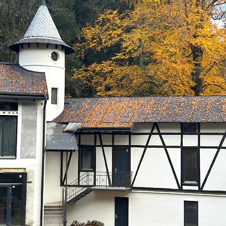 Lesni Mlyn Depandance Guest house
