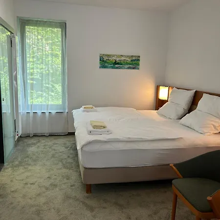 Lesni Mlyn Depandance Guest house Marianske Lazne